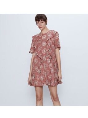 Zara Rose Blush Eyelet Embroidered dress
